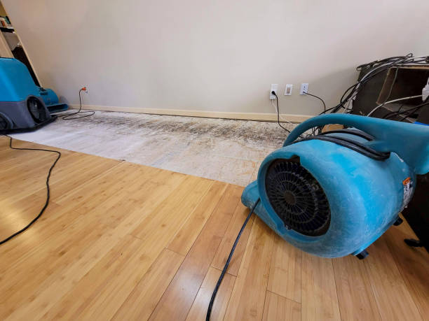 Professional Water Damage Repair technician working in Lucerne Valley, CA